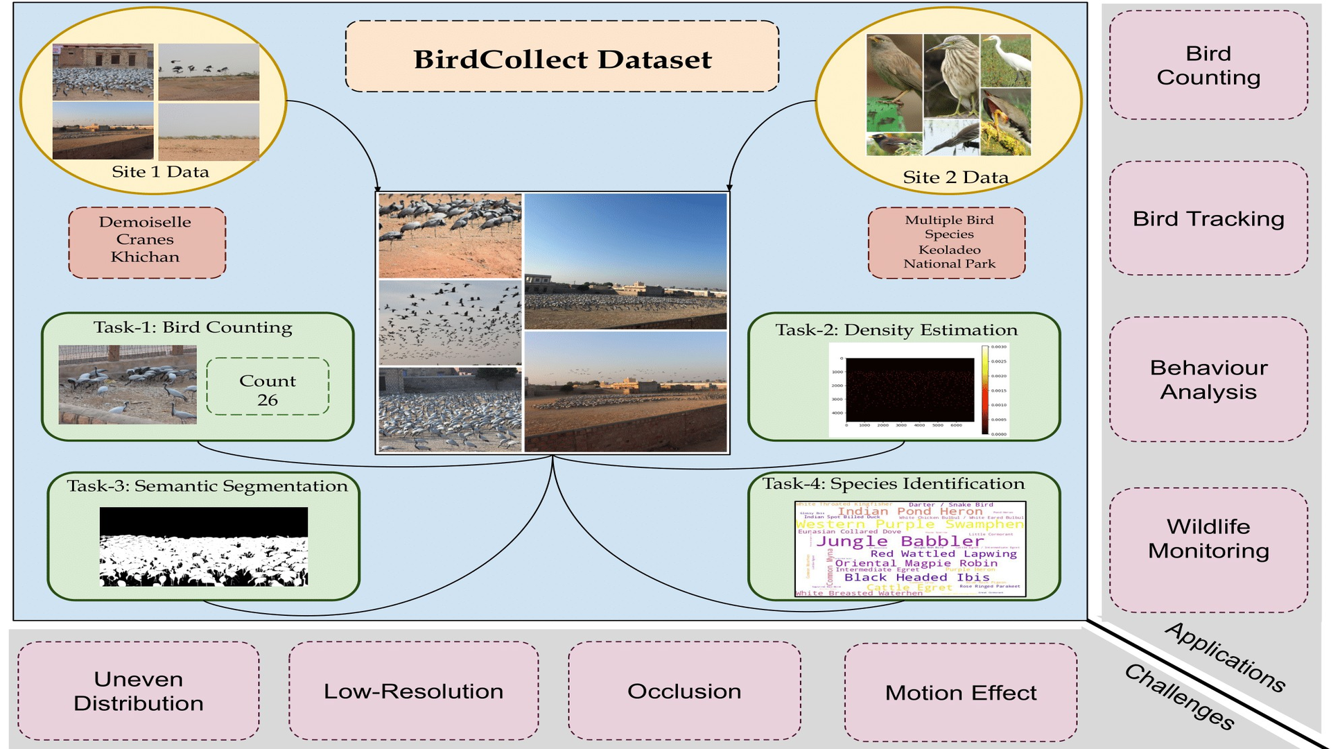 BirdCollect Project Image